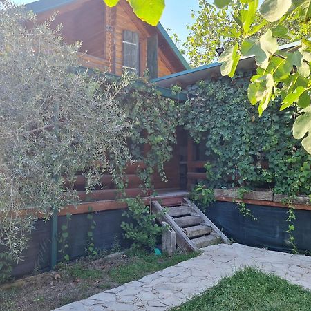 Holiday Home Kite House Ούλτσιν Εξωτερικό φωτογραφία